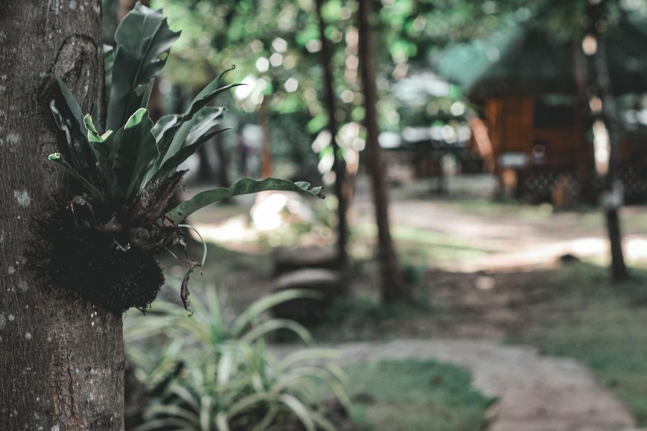 La Vie Adventure Trails Hotel Salabusob Buitenkant foto